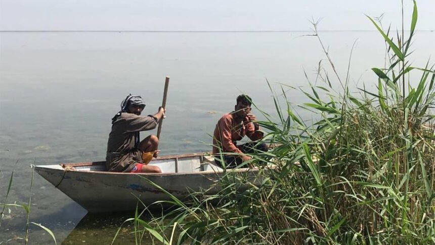 Iraqi Experts Say Iran Bears Responsibility for Drought in Hawizeh Marshes