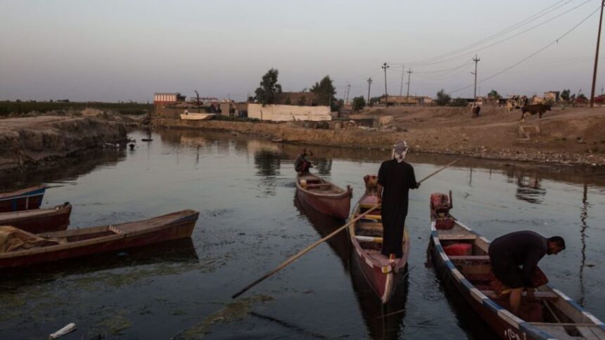 Meet the Iraqi Activists Who Are Standing Up for the Environment