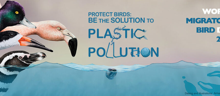Protect Birds: Be the Solution to Plastic Pollution!” World Migratory Bird Day