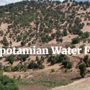 الإعلان عن أول منتدى للمياه لبلاد الرافدين في السليمانية، آذار 2019 – دعوة لتقديم المساهمات!