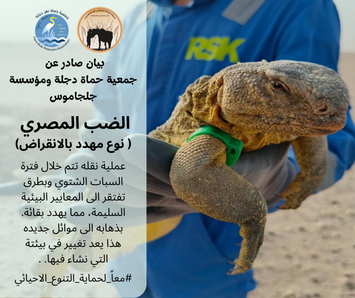 بيان عاجل صادر عن جمعية حماة نهر دجلة ومؤسسة جلجاموس